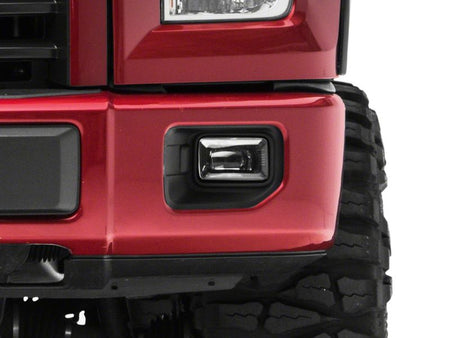 Photo - Close Up