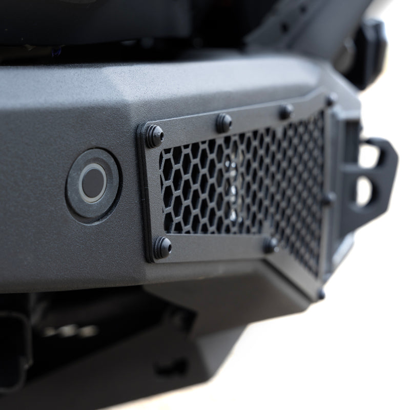 Photo - Close Up