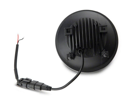 Photo - Close Up