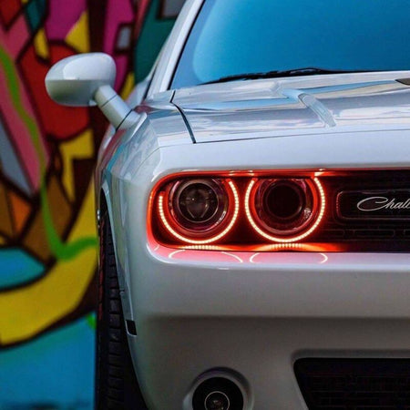 Photo - Close Up